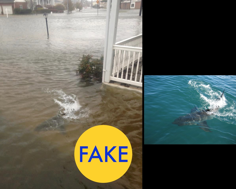 Illustration for article titled These Viral Photos From Hurricane Matthew Are Totally Fake